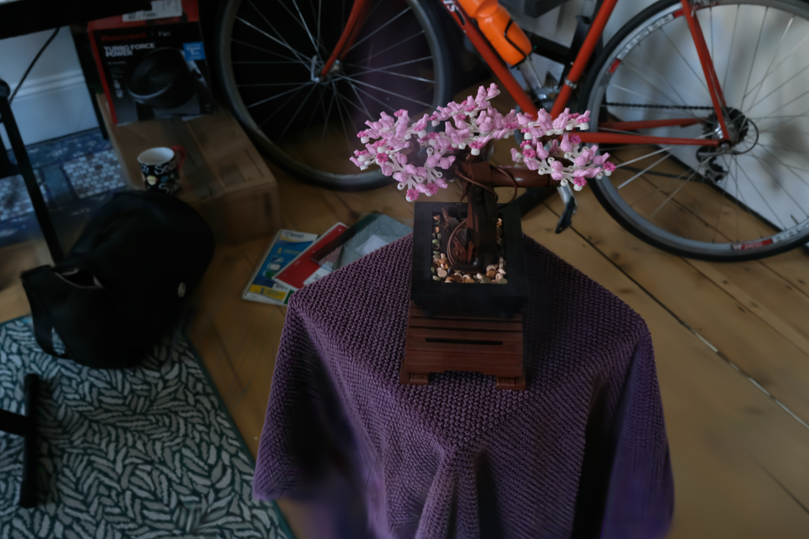 Bonsai hides in counter